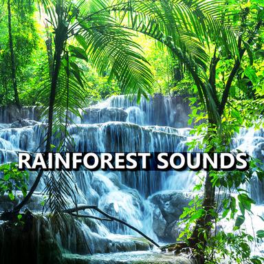 Nature Recording