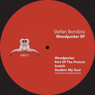 Woodpacker - Original Mix
