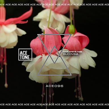 Bucovina - Original Mix