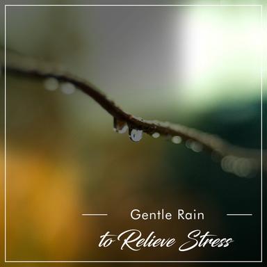 Summer Rain