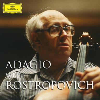 Serenade for String Trio in D Major, Op. 8: III. Adagio - Scherzo. Allegro molto - Adagio - Allegro molto - Adagio