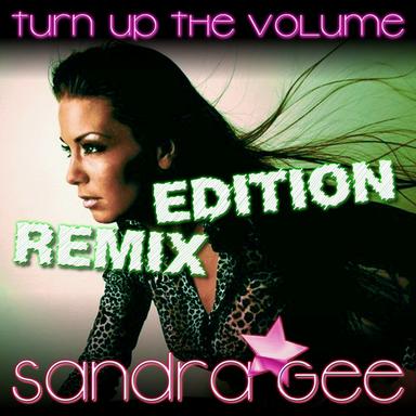 Turn Up the Volume - Max Fly Remix