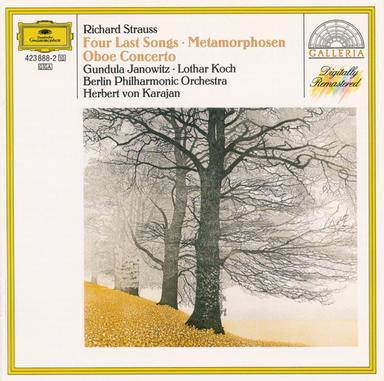 Concerto For Oboe And Small Orchestra In D Major: 3. Vivace - Allegro