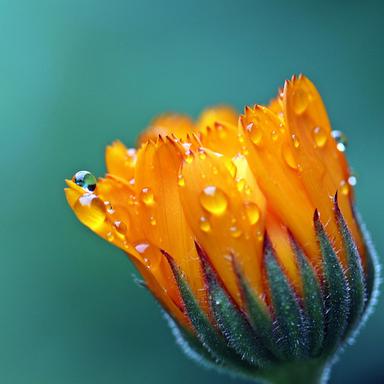 Rain in Window