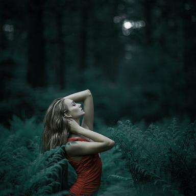 Moonlit Melody