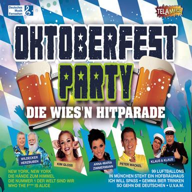 So a sau dummer Tag - Party Mix