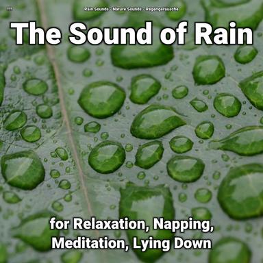 Noises to Help Babies Sleep in Cots