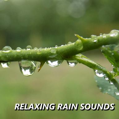 Illuminating Meditation Rain Sounds