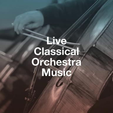 Piano Concerto No. 21 in C Major, K. 467: II. Andante