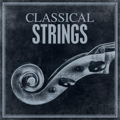 Cello Concerto in B Minor, B. 191: I. Allegro