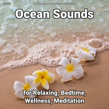 Wave Noises to Fall Asleep To