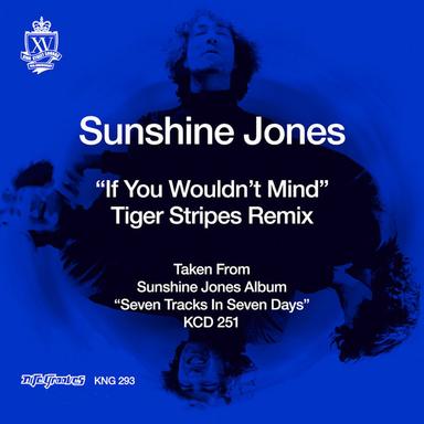 If You Wouldn't Mind - Tiger Stripes Remix