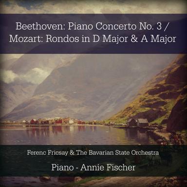 Piano Concerto No. 3 in C Minor, Op. 37: I. Allegro con brio