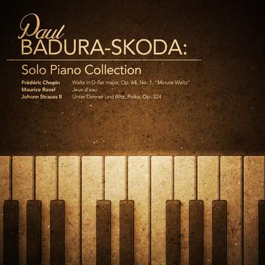 Unter Donner und Blitz, Polka, Op. 324