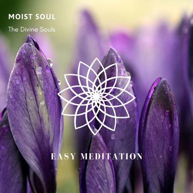 The Divine Souls - Original Mix