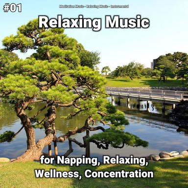 Vitalizing Soundscapes