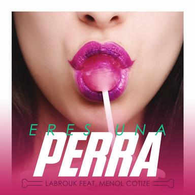Eres una Perra