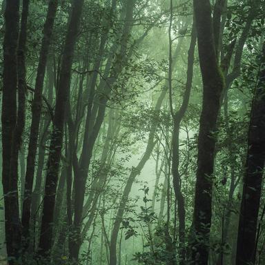 Tranquilidad Y Calma