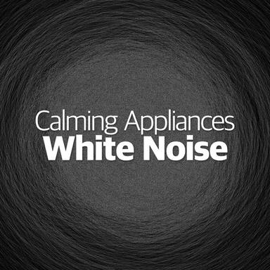 Noises Collide