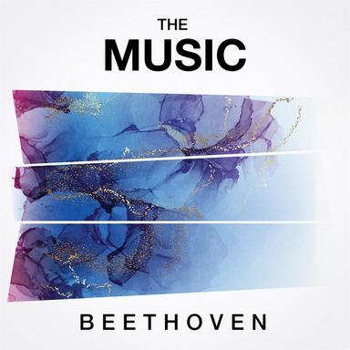 Violin Sonata No. 5 in F Major, Op. 24 "Spring": IV. Rondo. Allegro ma non troppo