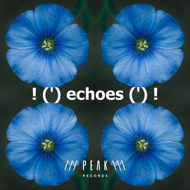 ! (') echoes (') !