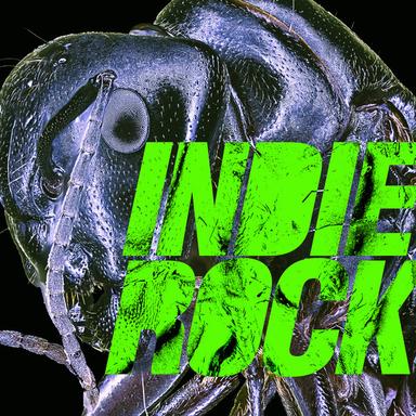 Saturday - Radio Edit