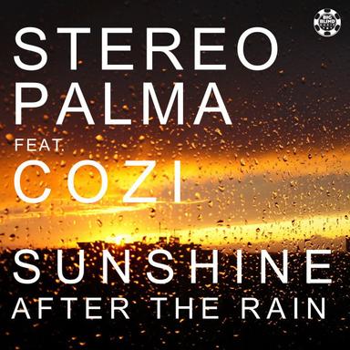 Sunshine After the Rain