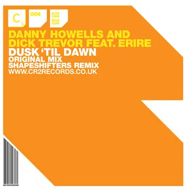 Dusk Till Dawn - Shapeshifters Remix