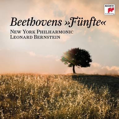 Symphony No. 5 in C Minor, Op. 67: IV. Allegro