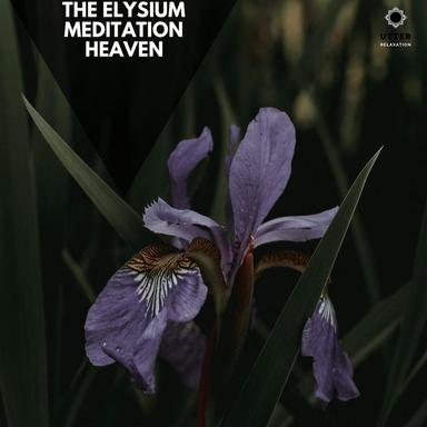 Clashing in My Memory