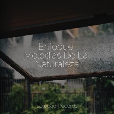 Delicias Hipnóticas