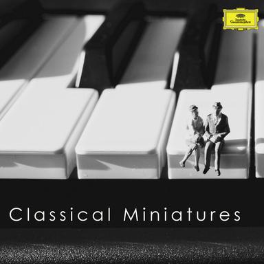 13 Variations On A Theme By Anselm Hüttenbrenner, D. 576: Variation V.