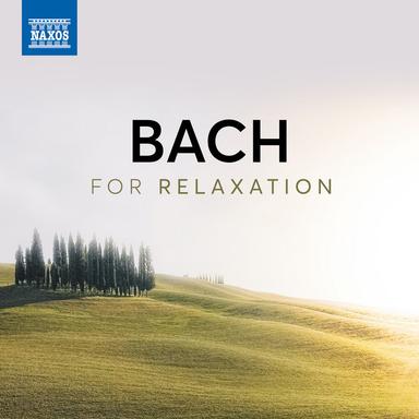 Brandenburg Concerto No. 4 in G Major, Bwv 1049: Ii. Andante