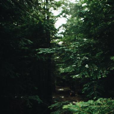 Stream from the Hill