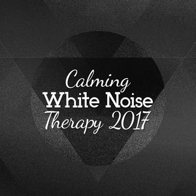 Sonogram Fast Heart Beat