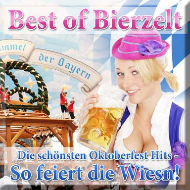 Das geht ab (Wir feiern die ganze Nacht) (Atzen Musik Mix) (Coverversion)