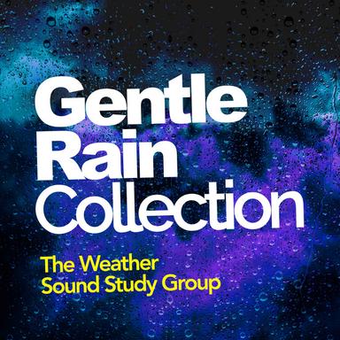 Wet Outside