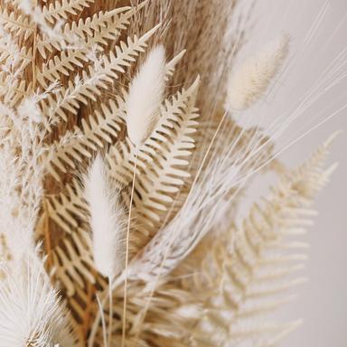 Luz De Luna Silenciosa