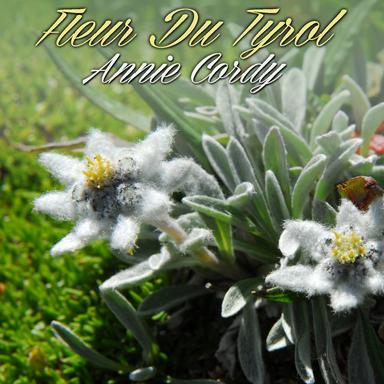 Fleur du tyrol