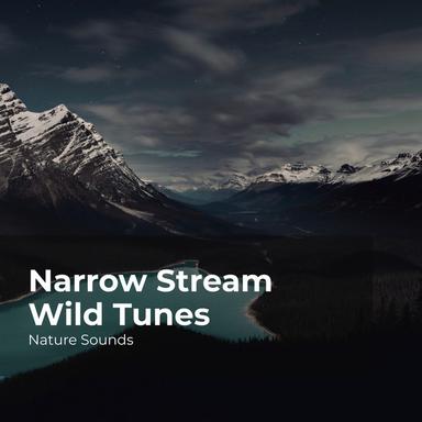 Jungle Full of Trees