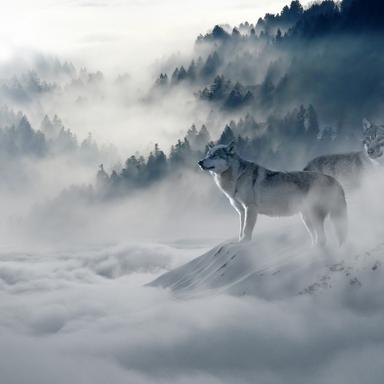 Gentle Beginnings
