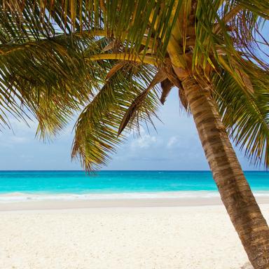 30 Pistas De Ensueño Para La Paz Y La Tranquilidad.