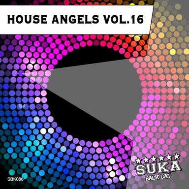 House Angels, Vol. 16