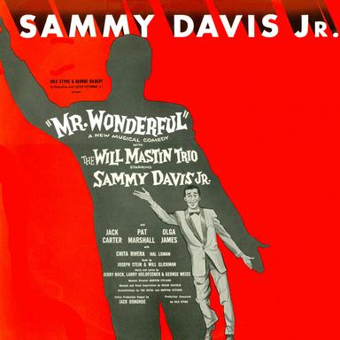 Mr. Wonderful