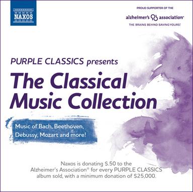 Piano Concerto in A Minor, Op. 16: I. Allegro moderato