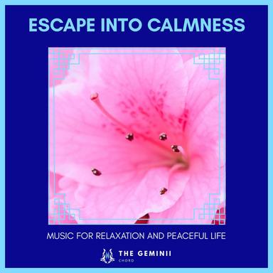 Establish Harmony - Original Mix