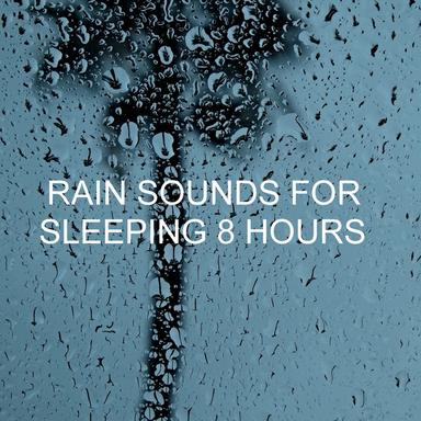 Rain Fall Sounds