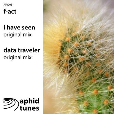 Data Traveler (Original Mix)