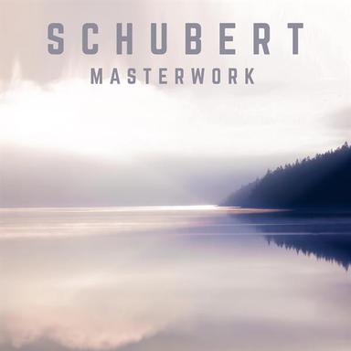 Piano Sonata in D Major, D. 850: II. Con moto