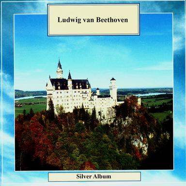 Symphony No. 7 in A Major, Op. 92: II. Allegretto